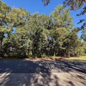 Photo #2 of Lot 227 Summerwood Dr., Georgetown, SC 0.6 acres