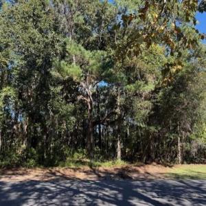 View of street featuring a wooded view