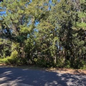 View of asphalt road