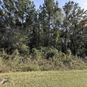 Photo #2 of TBD Old Charleston Rd., Georgetown, SC 2.4 acres