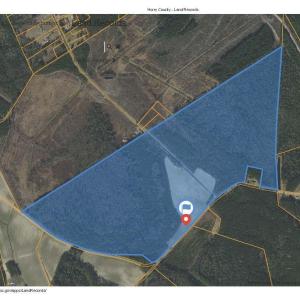 Photo #1 of 7320 Maple Wild Rd, Nichols, SC 178.8 acres