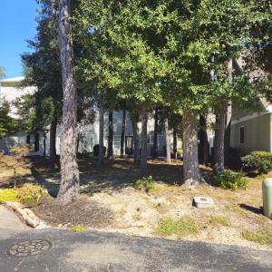 View of property hidden behind natural elements