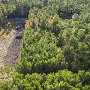 Photo #2 of TBD Long Avenue Ext., Conway, SC 0.7 acres