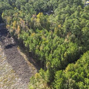 Photo #4 of TBD Long Avenue Ext., Conway, SC 0.7 acres