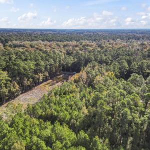 Photo #3 of TBD Long Avenue Ext., Conway, SC 0.7 acres