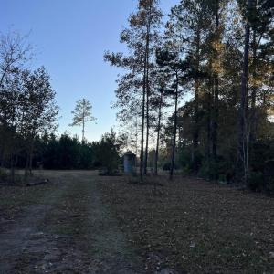 View of dirt / gravel road