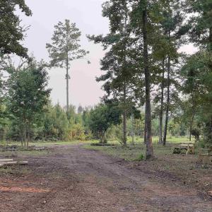 View of undeveloped land