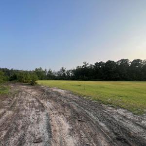 View of road with a forest view and a view of coun