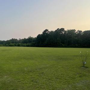 View of green lawn with a view of rural / pastoral