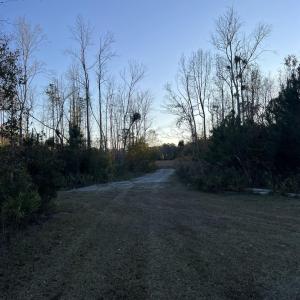 View of road