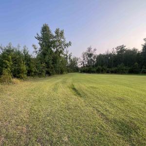 View of grassy yard