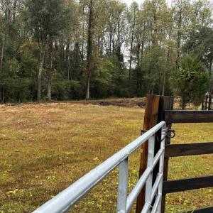 Photo #9 of TBD Ole Maple St., Loris, SC 1.9 acres