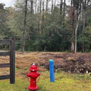 Photo #8 of TBD Ole Maple St., Loris, SC 1.9 acres