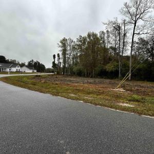 Photo #3 of TBD Ole Maple St., Loris, SC 1.9 acres