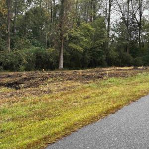 Photo #5 of TBD Ole Maple St., Loris, SC 1.9 acres