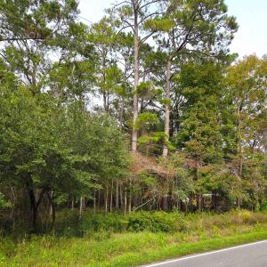 Photo #2 of 885 Martin Luther King Rd., Pawleys Island, SC 3.5 acres