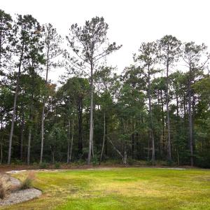 Photo #1 of 885 Martin Luther King Rd., Pawleys Island, SC 3.5 acres
