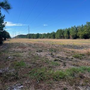 Photo #20 of TBD Sand Plant Rd., Nichols, SC 123.4 acres