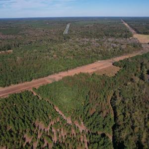 Photo #34 of TBD Sand Plant Rd., Nichols, SC 123.4 acres