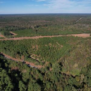 Photo #1 of TBD Sand Plant Rd., Nichols, SC 123.4 acres