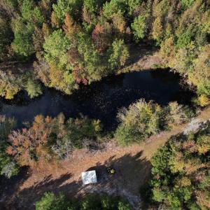 Photo #7 of TBD Sand Plant Rd., Nichols, SC 123.4 acres