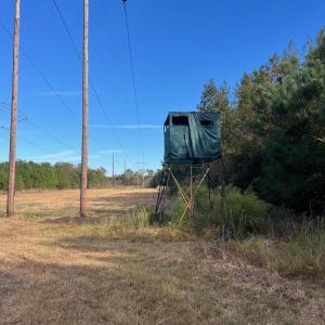 Photo #14 of TBD Sand Plant Rd., Nichols, SC 123.4 acres