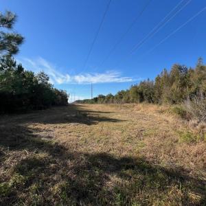 Photo #33 of TBD Sand Plant Rd., Nichols, SC 123.4 acres