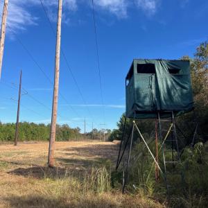 Photo #22 of TBD Sand Plant Rd., Nichols, SC 123.4 acres