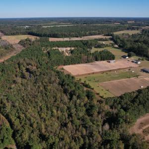 Photo #35 of TBD Sand Plant Rd., Nichols, SC 123.4 acres