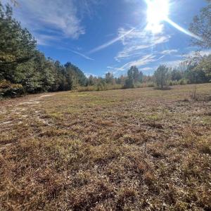 Photo #32 of TBD Sand Plant Rd., Nichols, SC 123.4 acres