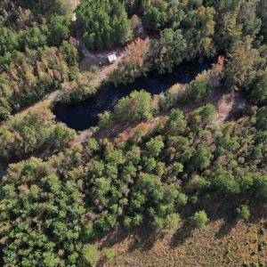 Photo #6 of TBD Sand Plant Rd., Nichols, SC 123.4 acres