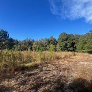 Photo #15 of TBD Sand Plant Rd., Nichols, SC 123.4 acres