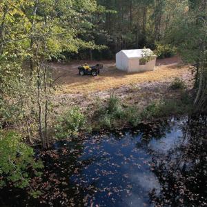 Photo #10 of TBD Sand Plant Rd., Nichols, SC 123.4 acres