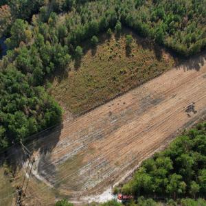 Photo #4 of TBD Sand Plant Rd., Nichols, SC 123.4 acres