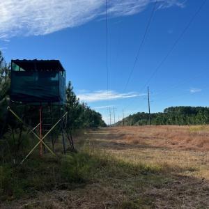 Photo #13 of TBD Sand Plant Rd., Nichols, SC 123.4 acres