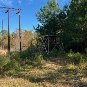 Photo #18 of TBD Sand Plant Rd., Nichols, SC 123.4 acres