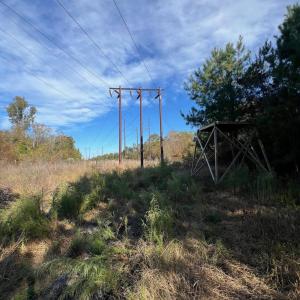 Photo #17 of TBD Sand Plant Rd., Nichols, SC 123.4 acres