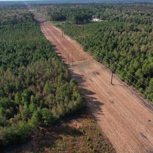 Photo #12 of TBD Sand Plant Rd., Nichols, SC 123.4 acres