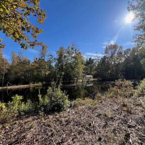 Photo #29 of TBD Sand Plant Rd., Nichols, SC 123.4 acres