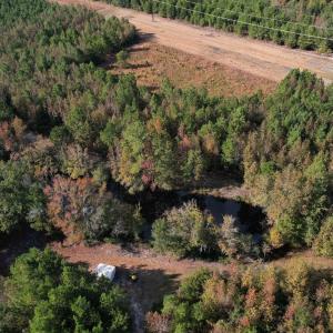 Photo #5 of TBD Sand Plant Rd., Nichols, SC 123.4 acres