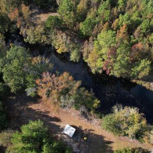 Photo #8 of TBD Sand Plant Rd., Nichols, SC 123.4 acres