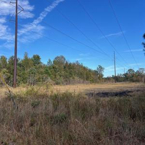 Photo #21 of TBD Sand Plant Rd., Nichols, SC 123.4 acres
