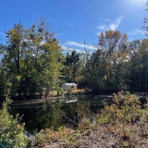 Photo #9 of TBD Sand Plant Rd., Nichols, SC 123.4 acres