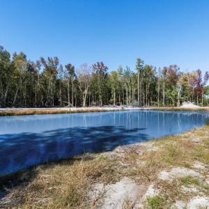 Water view featuring a heavily wooded area