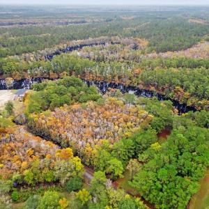 Photo #12 of 275 Waccamaw River Dr., Conway, SC 4.0 acres