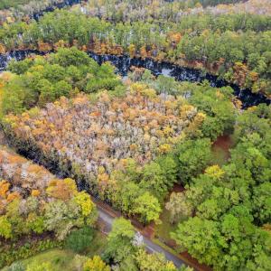 Photo #4 of 275 Waccamaw River Dr., Conway, SC 4.0 acres