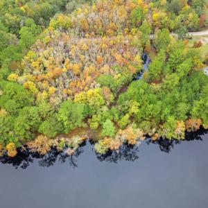 Photo #8 of 275 Waccamaw River Dr., Conway, SC 4.0 acres