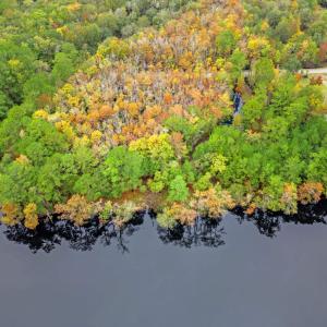 Photo #7 of 275 Waccamaw River Dr., Conway, SC 4.0 acres