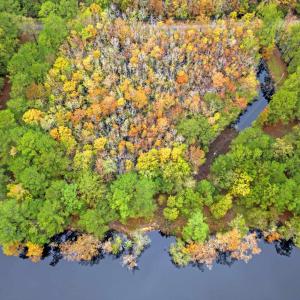 Photo #9 of 275 Waccamaw River Dr., Conway, SC 4.0 acres