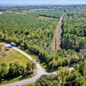 Bird's eye view of a forest and a large body of wa